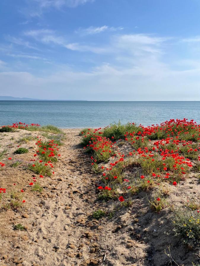 B&B Tre - Rooms & Relax Oristano Exterior photo